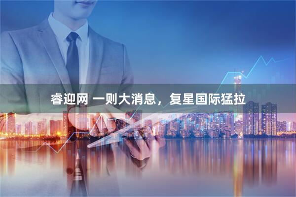 睿迎网 一则大消息，复星国际猛拉