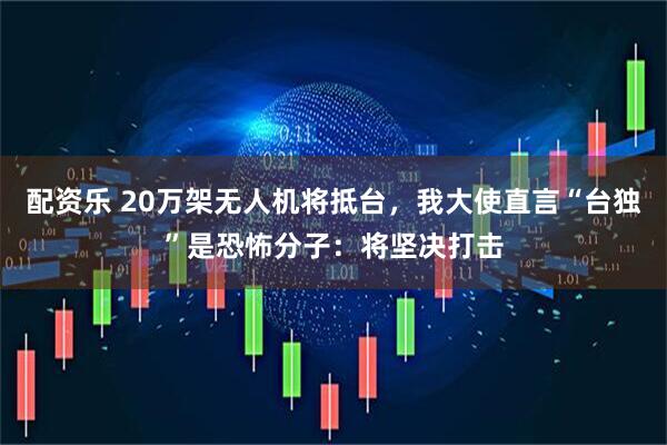 配资乐 20万架无人机将抵台,我大使直言“台独”是恐怖分子:将坚决打击